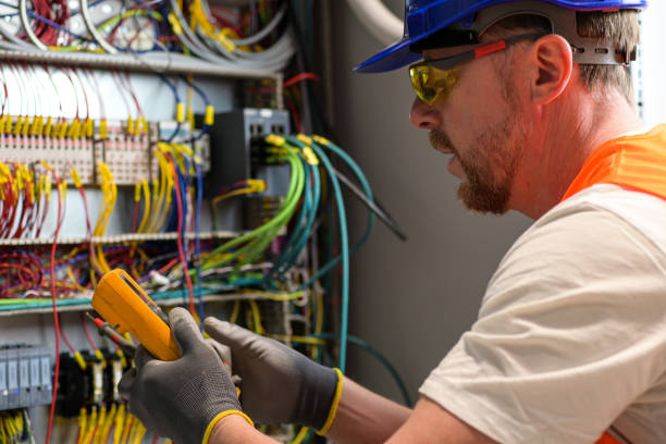 Best Electric Panel Repair  in North Catasauqua, PA